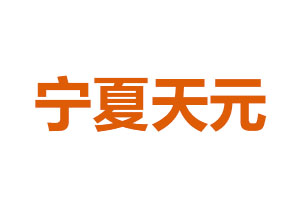 寧夏天元